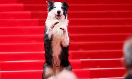 Có một Messi khác trên thảm đỏ Cannes