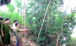 'Ác quỷ' sông Lô 18 năm giỡn mặt 'lưới trời'