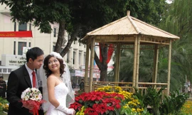 Phố hoa trước giờ khai hội