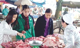 Giảm xuất khẩu, giá thịt lợn vẫn cao