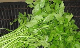 Không nên bỏ lá rau cần