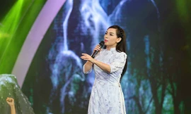 6 người trình báo mất tài sản trong đêm nhạc có Phi Nhung