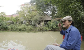 Nhà vườn 10.000m2 đầy hoa thơm, trái ngọt của Giang 'còi'