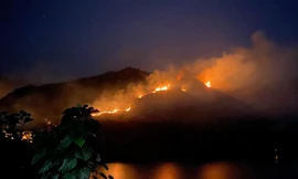 Sơn La: Cháy hơn 50 ha rừng đang trong quy hoạch phòng hộ 