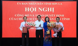 Tiếp nhận, điều động, bổ nhiệm nhân sự 11 tỉnh