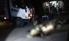 Xe tải đi sai phần đường gây tai nạn khiến 2 người tử vong