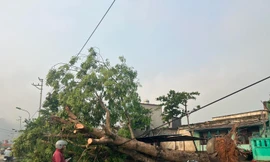 Mưa đá, gió lốc gây nhiều thiệt hại tại Sơn La