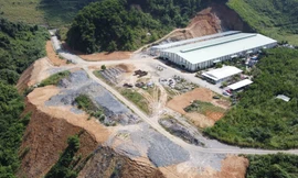 Phạt hơn 2,3 tỉ đồng 3 trang trại nuôi heo gây ô nhiễm ở Quảng Bình 