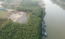 Rầm rộ hút cát lên bãi tập kết dù chưa có phép hoạt động bến thủy nội địa