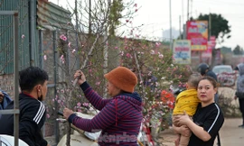 Chính thức: Nghỉ Tết Nguyên đán 9 ngày, dịp lễ 30/4-1/5 nghỉ 5 ngày liên tiếp