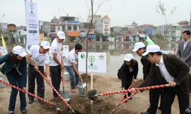 Các đại biểu cùng tham gia trồng cây