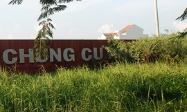 'Nên đánh thuế cao thay vì thu hồi các dự án treo'