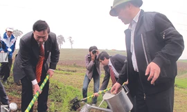 Mộc Châu nghiêng xanh