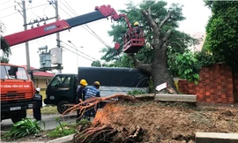 Giông lốc giật sập mái nhà, quật ngã cây cổ thụ đè ô tô ở Sài Gòn