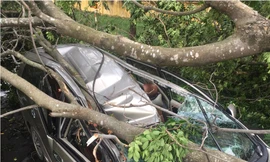 Chiếc ô tô bị đè bẹp, tài xế may mắn thoát chết.