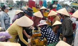 Sau 'sóng gió', cảng cá Phan Thiết nhộn nhịp ngày cuối tuần