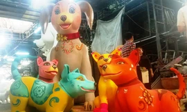 Vì sao chọn chó Phú Quốc làm linh vật đường hoa Tết Mậu Tuất 2018?