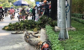 Hiện trường vụ việc.