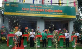 Mai Linh khai trương chi nhánh tại Điện Biên.