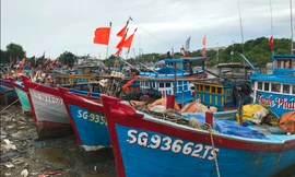 Toàn bộ tàu thuyền đã nhận được lệnh về nơi trú bão an toàn.