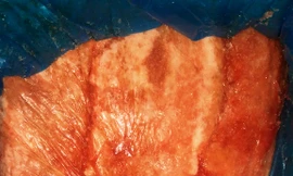 Gần 10 tấn nậm heo thối chuẩn bị ra bàn nhậu dịp Tết