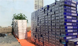 Hơn 1.200 cây thuốc lá lậu bị tịch thu.