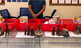 Tang vật bị thu giữ.