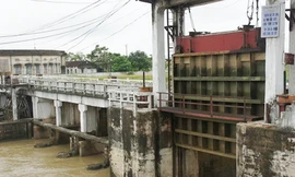 Ba người ở Nghệ An chết, mất tích vì lũ