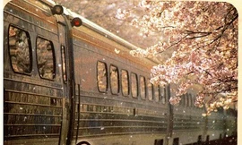 “Mãi Mãi Là Bao Xa” - Tiểu thuyết ngôn tình gây “u mê” được chuyển thể thành phim 