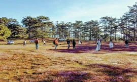 Đồi cỏ hồng thu hút rất đông du khách