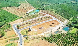 Phân lô đất nông nghiệp ở TP.Bảo Lộc.