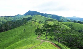 Cung đường trekking tuyệt đẹp Tà Năng-Phan Dũng