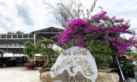 Nhà hàng trên đỉnh đồi thuộc nội ô Đà Lạt