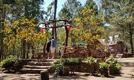 Trang hoàng rực rỡ để đón khách dịp Tết