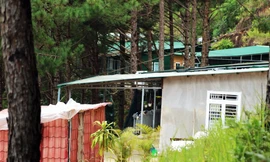 Dãy nhà không phép "mọc" giữ rừng thông