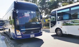 Các xe biển số nước ngoài vận chuyển du khách tại Lâm Đồng