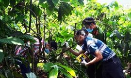 Thu thập chứng cứ tại hiện trường