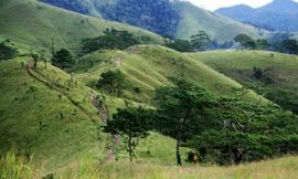 Cung đường phượt Tà Năng_Phan Dũng khá hiểm trở