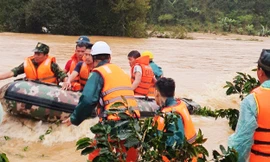 Thi thể nạn nhân được phát hiện phía dưới cây câu treo này.