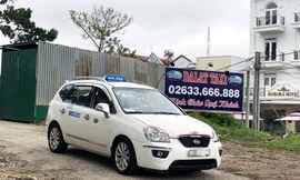 Đà Lạt taxi phải bồi thường hơn 200 triệu 