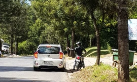 'Cò' đặc sản đeo bám xe du lịch trên đường