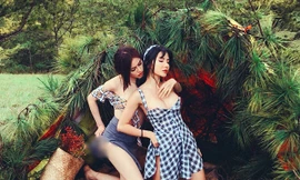 Bẻ cành thông làm phông nền và chụp ảnh phản cảm