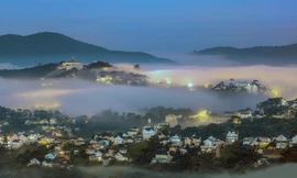 Phố sương Đà Lạt - ảnh Võ Trang