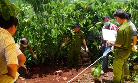 Khám nghiệm hiện trường vụ án mạng