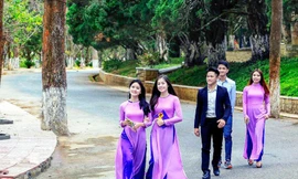 Trường Đại học Đà Lạt thường thu hút đông khách tham quan