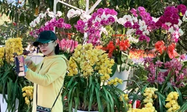 Giới trẻ hào hứng check in tại hội hoa xuân