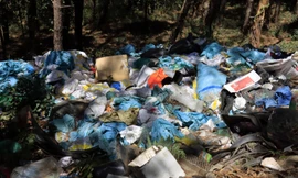 Tuồn rác thải vào rừng thông ven đèo Mimosa