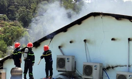 Trại ươm cây giống cháy ngùn ngụt