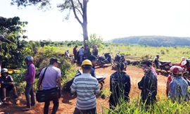 Hỗn chiến trong vườn cà phê ở Lâm Đồng, 4 người thương vong