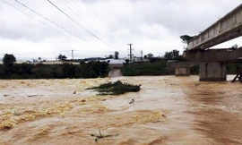 Nước sông Đa Nhim dâng cao gây ngập lụt ở Đơn Dương